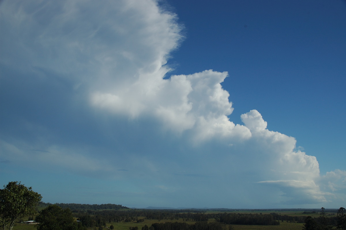 anvil thunderstorm_anvils : Parrots Nest, NSW   2 March 2007