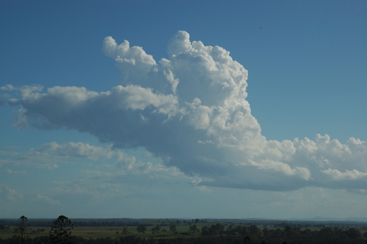 cumulus congestus : Parrots Nest, NSW   2 March 2007