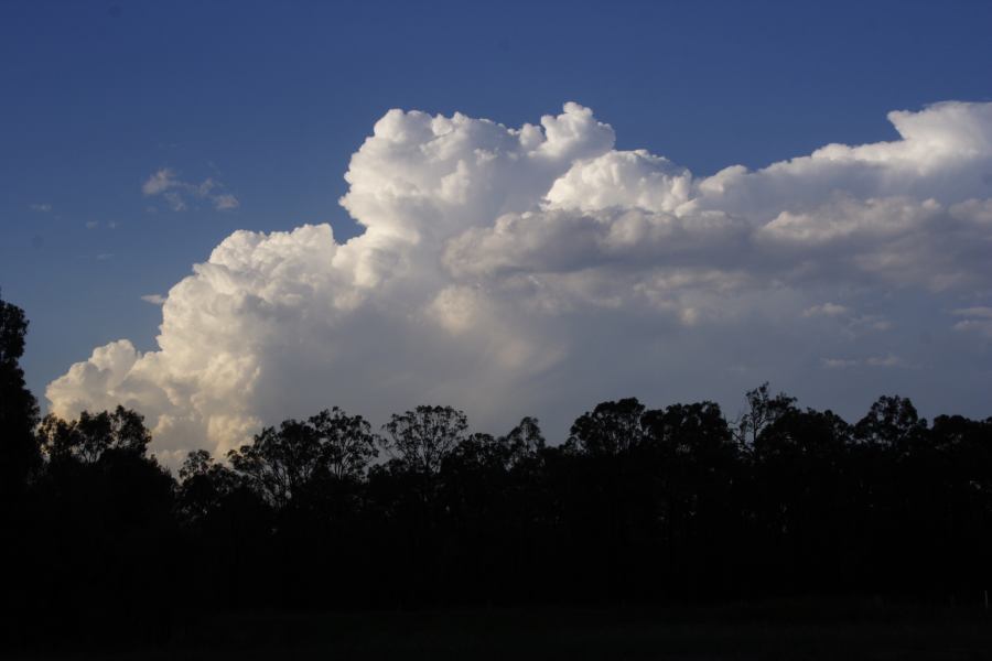 thunderstorm cumulonimbus_incus : near Bulga, NSW   4 March 2007