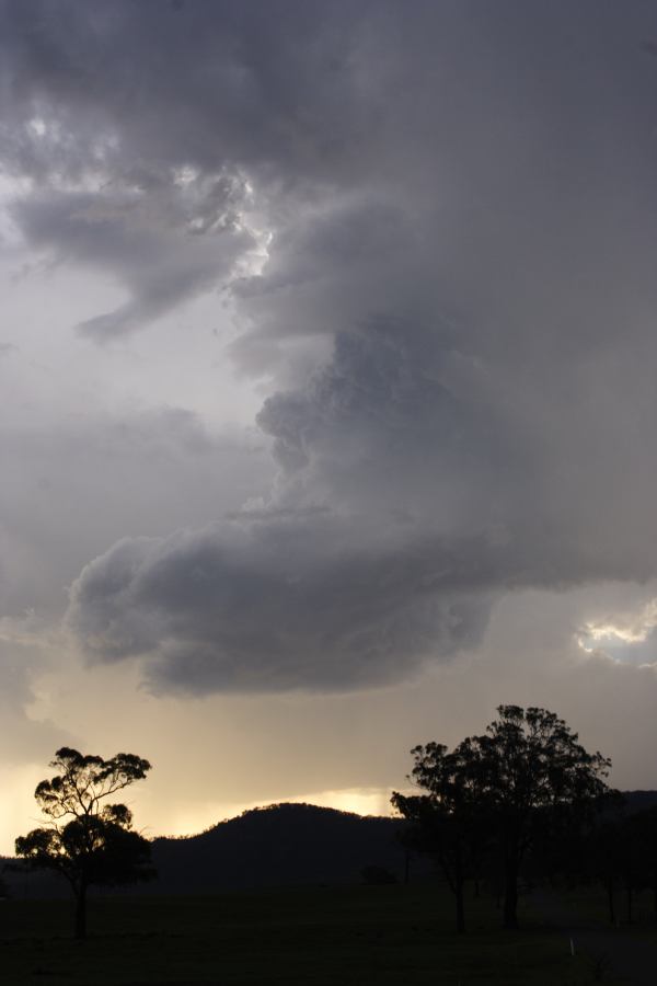 updraft thunderstorm_updrafts : near Bulga, NSW   4 March 2007