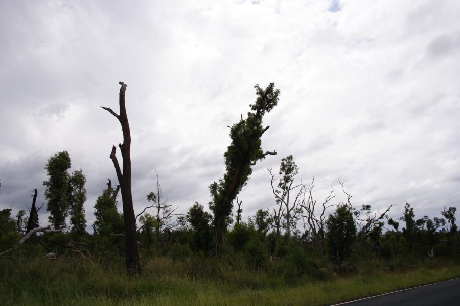 disasters storm_damage : 20km E of Coonabarabran, NSW   5 March 2007