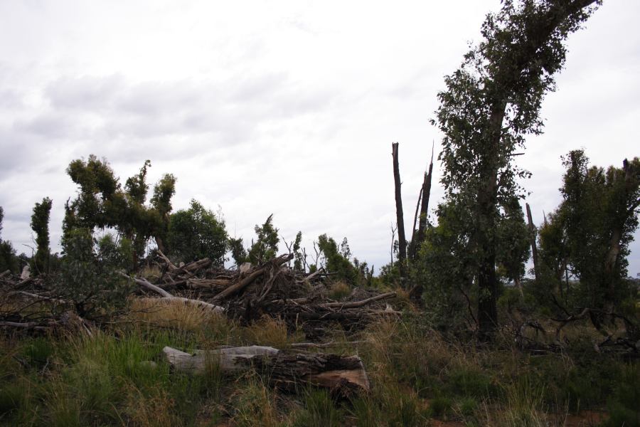 disasters storm_damage : 20km E of Coonabarabran, NSW   5 March 2007