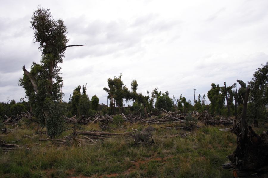 disasters storm_damage : 20km E of Coonabarabran, NSW   5 March 2007