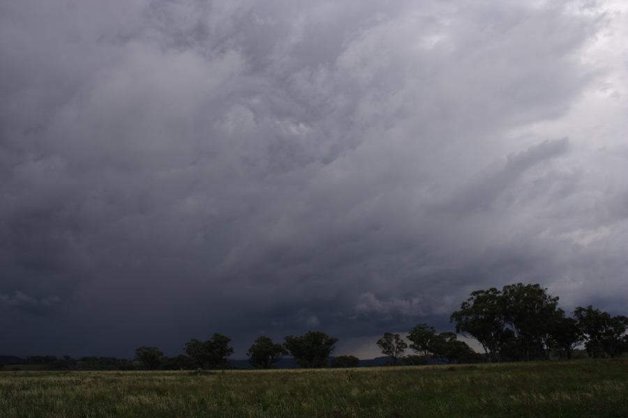 cumulonimbus thunderstorm_base : Coonabarabran, NSW   5 March 2007