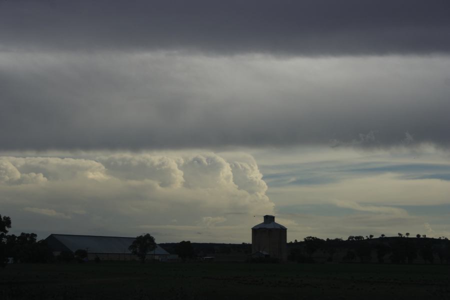 thunderstorm cumulonimbus_incus : 20km N of Gulgong, NSW   5 March 2007