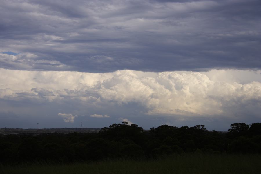 altocumulus altocumulus_cloud : Rooty Hill, NSW   8 March 2007