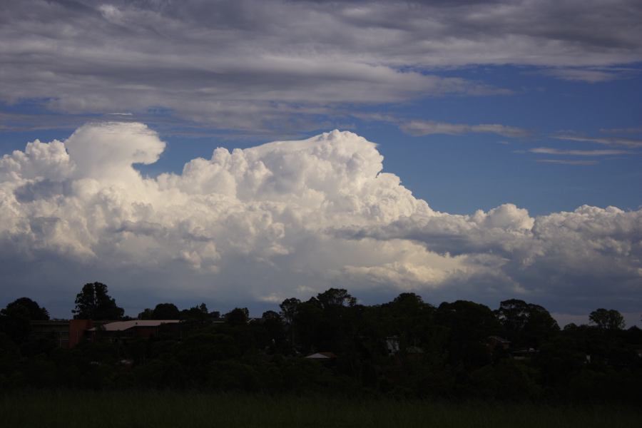 altocumulus altocumulus_cloud : Rooty Hill, NSW   8 March 2007