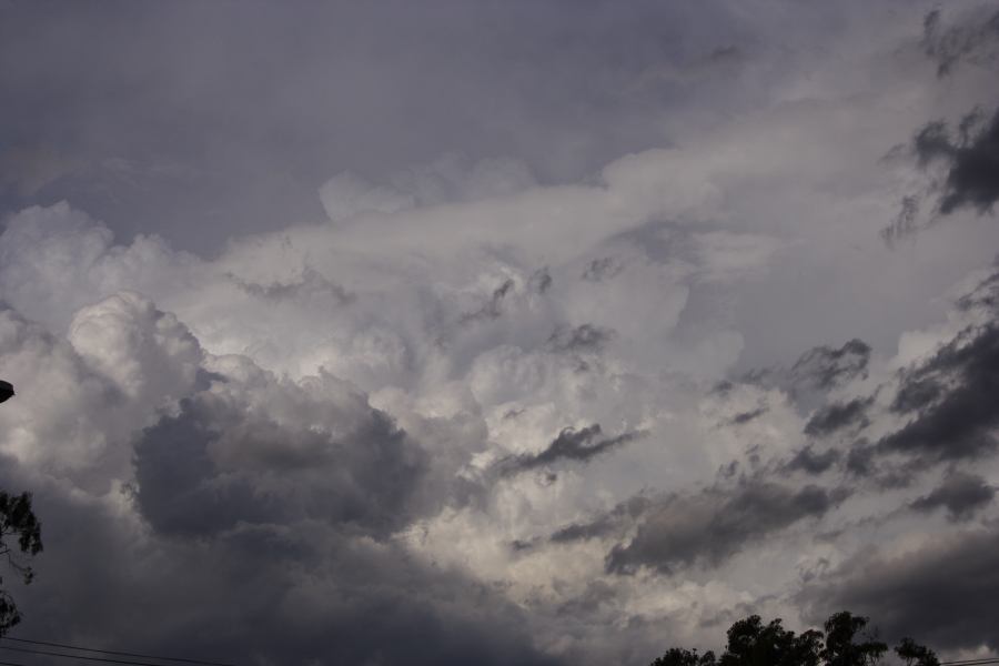 thunderstorm cumulonimbus_calvus : Miranda, NSW   8 March 2007