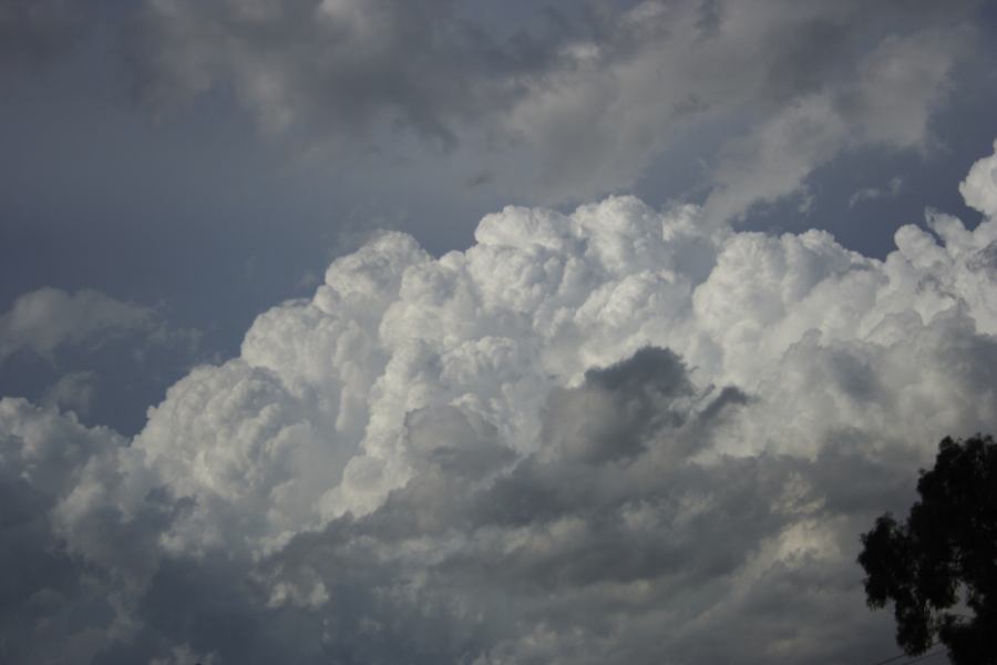 updraft thunderstorm_updrafts : Miranda, NSW   8 March 2007