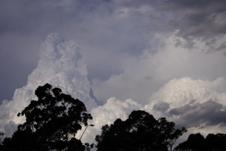 thunderstorm cumulonimbus_calvus : near Sutherland, NSW   8 March 2007