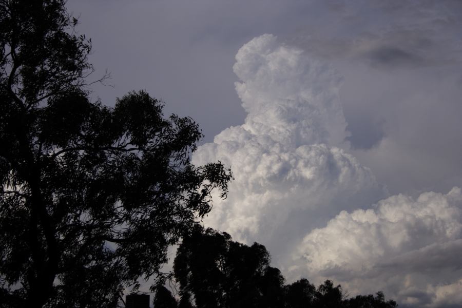 updraft thunderstorm_updrafts : near Sutherland, NSW   8 March 2007