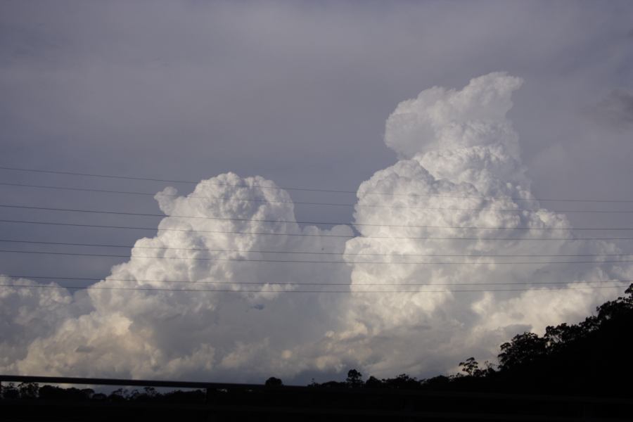 updraft thunderstorm_updrafts : near Sutherland, NSW   8 March 2007