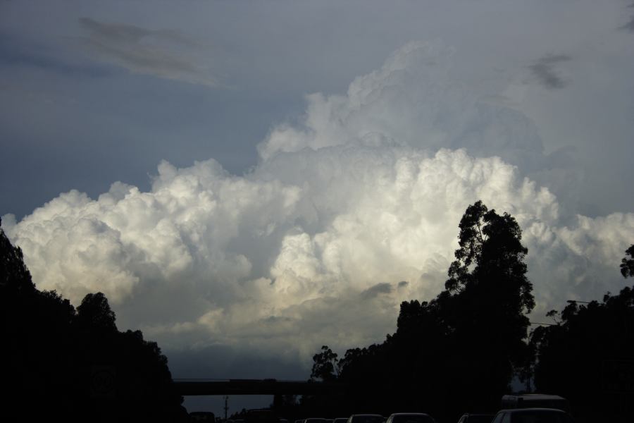 thunderstorm cumulonimbus_calvus : near Padstow, NSW   8 March 2007