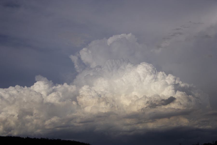 thunderstorm cumulonimbus_calvus : near Padstow, NSW   8 March 2007