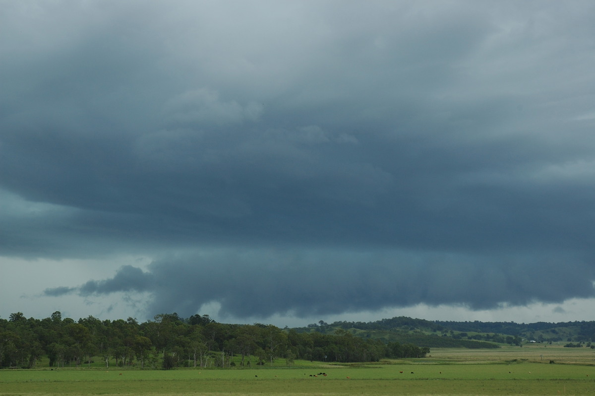 cumulonimbus thunderstorm_base : NW of Lismore, NSW   8 March 2007