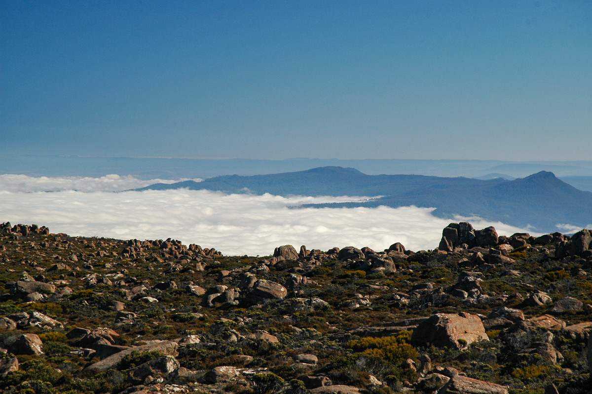 fogmist fog_mist_frost : Mt Wellington, TAS   8 April 2007