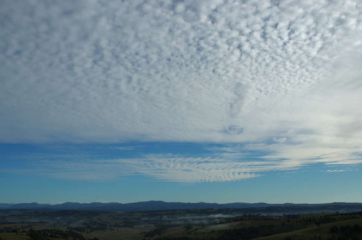 altocumulus mackerel_sky : McLeans Ridges, NSW   2 May 2007