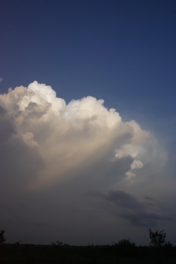 anvil thunderstorm_anvils : Hillsboro, Texas, USA   3 May 2007