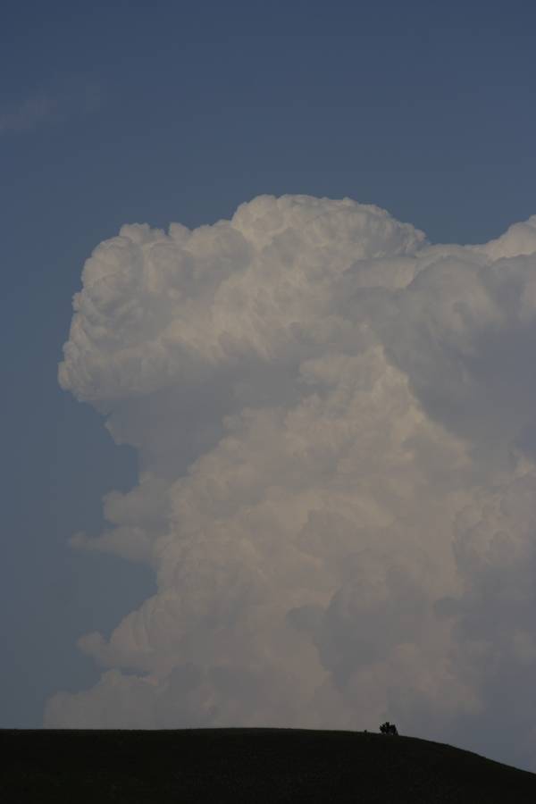 thunderstorm cumulonimbus_incus : Sundance, Wyoming, USA   18 May 2007