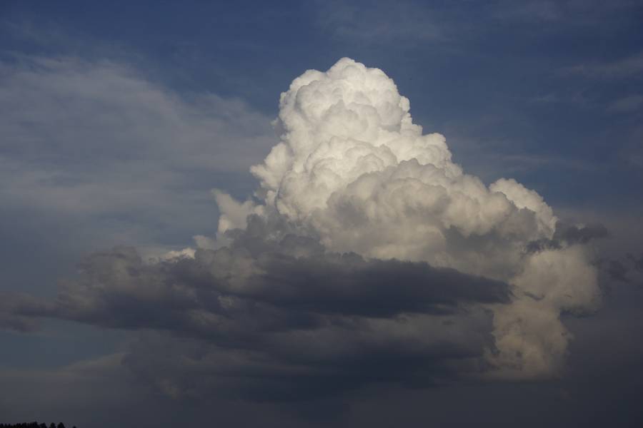 cumulus congestus : near Devil's Tower, Wyoming, USA   18 May 2007