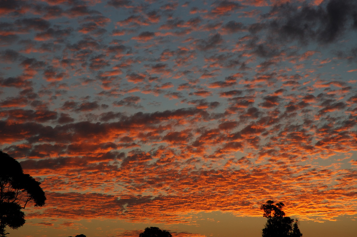 sunset sunset_pictures : McLeans Ridges, NSW   23 May 2007