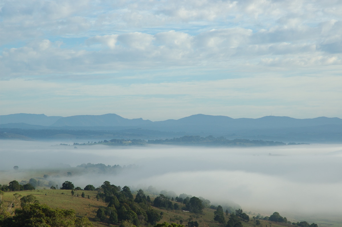 fogmist fog_mist_frost : McLeans Ridges, NSW   4 June 2007