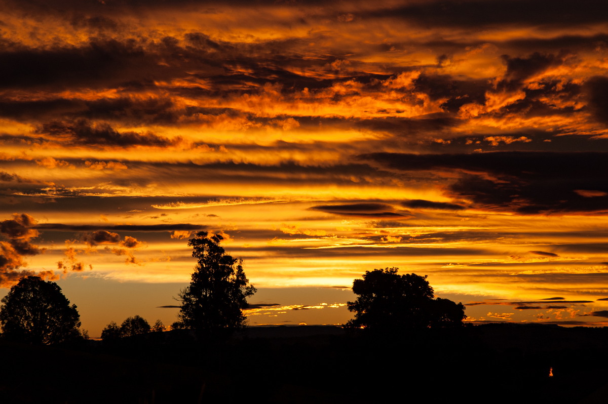 sunset sunset_pictures : McLeans Ridges, NSW   7 June 2007