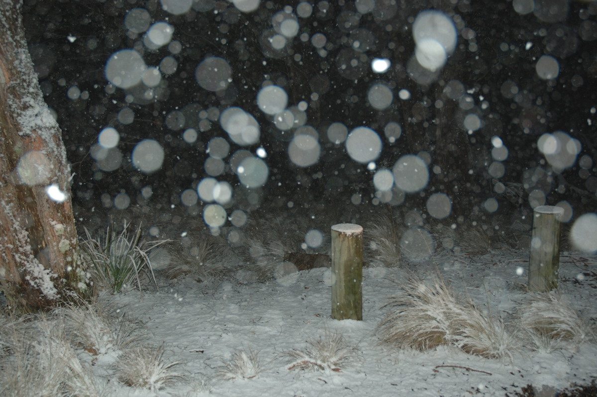 precipitation precipitation_rain : near Tenterfield, NSW   8 June 2007