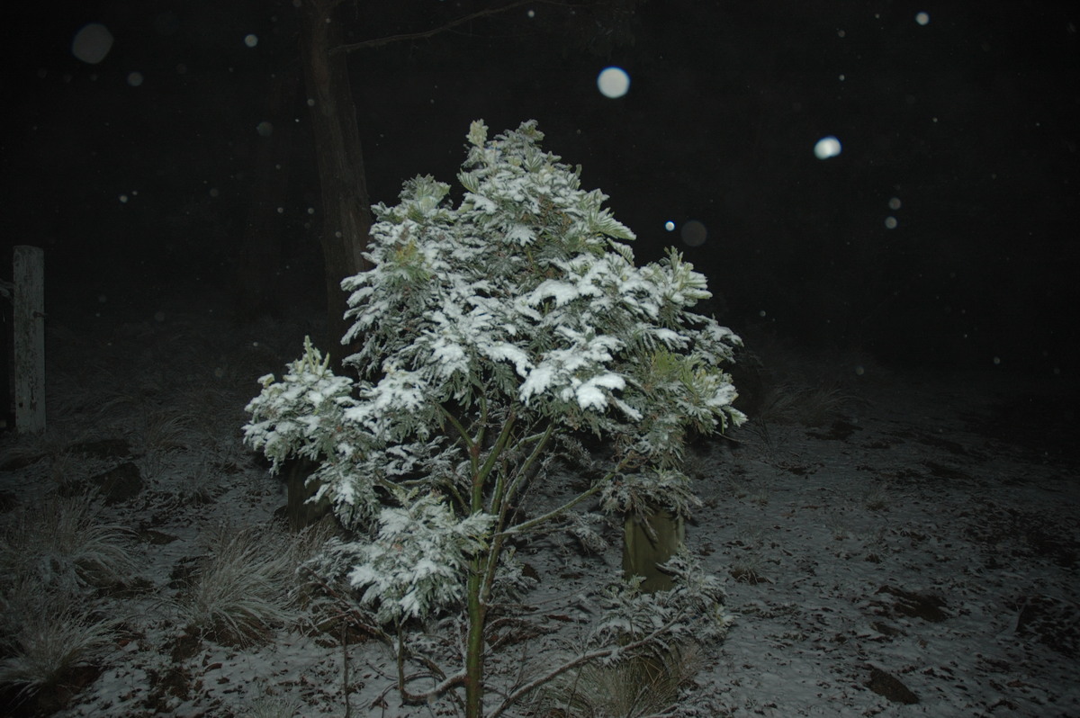 snow snow_pictures : near Tenterfield, NSW   8 June 2007