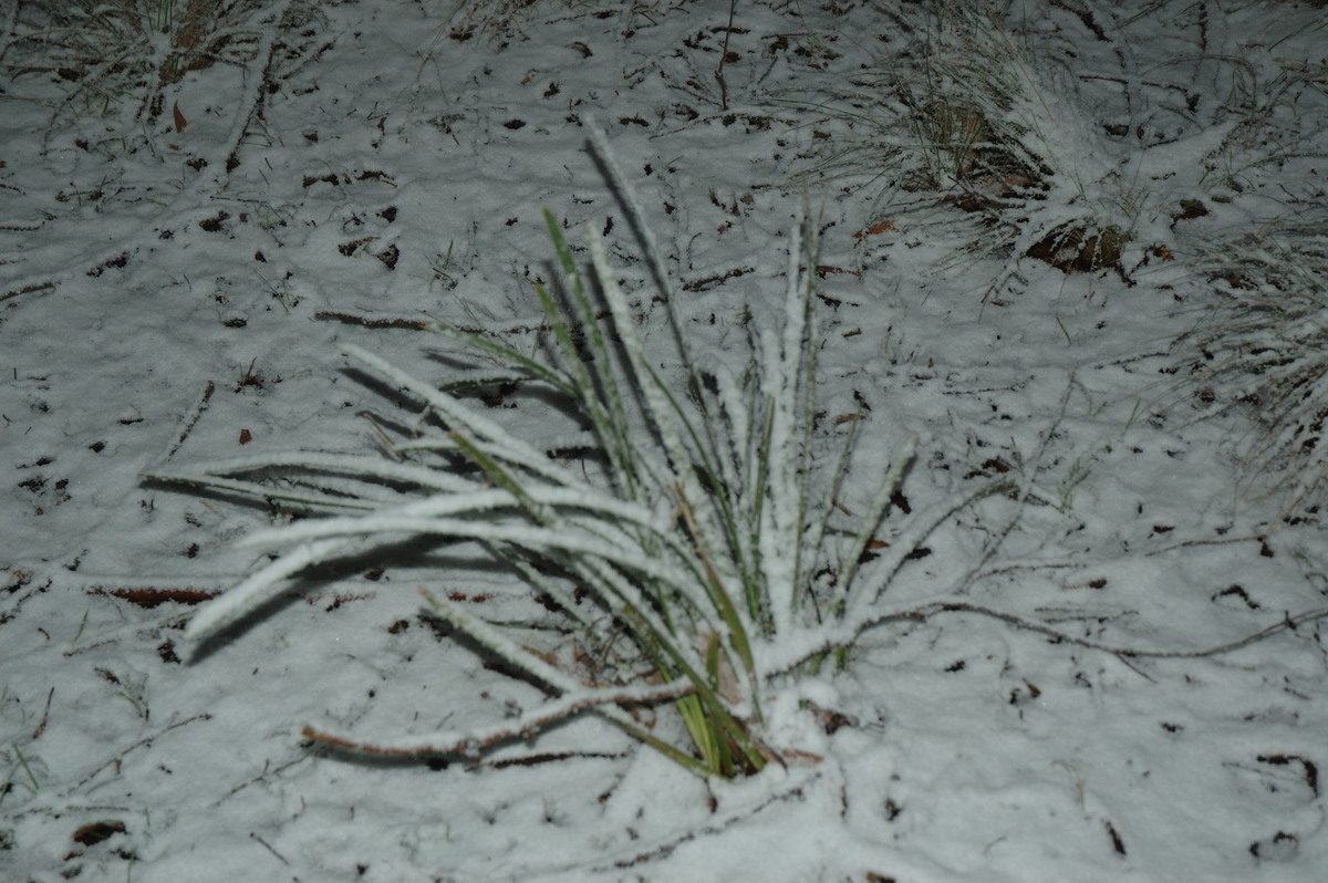 snow snow_pictures : near Tenterfield, NSW   8 June 2007