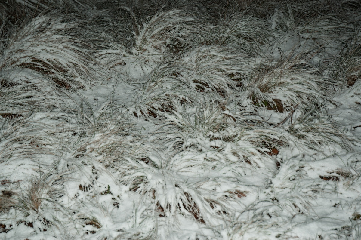 snow snow_pictures : near Tenterfield, NSW   8 June 2007