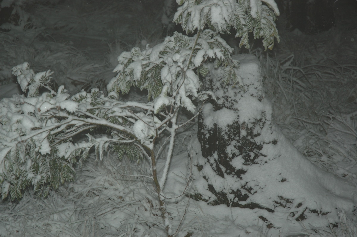 snow snow_pictures : near Tenterfield, NSW   8 June 2007