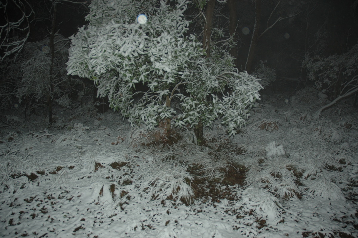 snow snow_pictures : near Tenterfield, NSW   9 June 2007