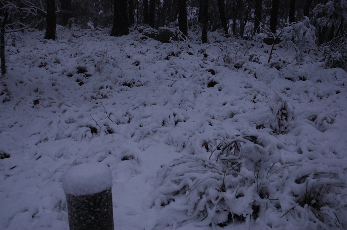 snow snow_pictures : near Tenterfield, NSW   9 June 2007