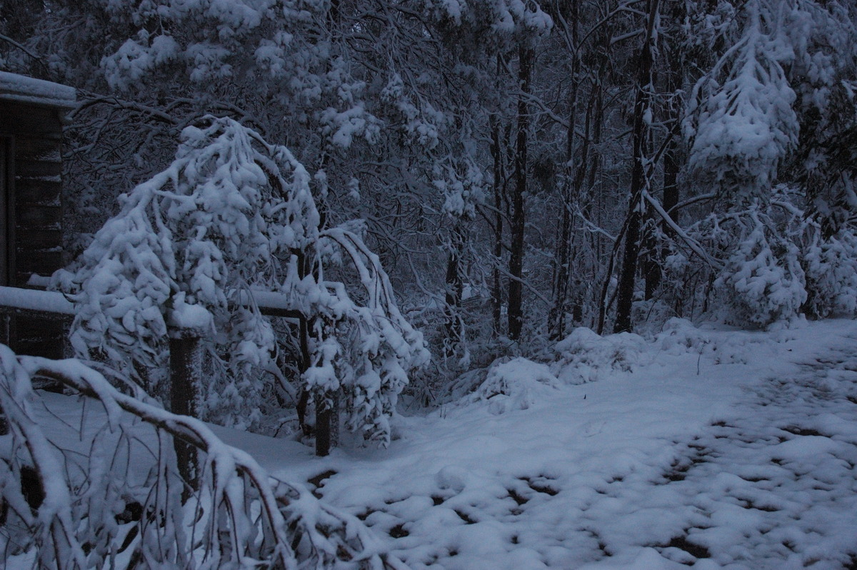 snow snow_pictures : near Tenterfield, NSW   9 June 2007