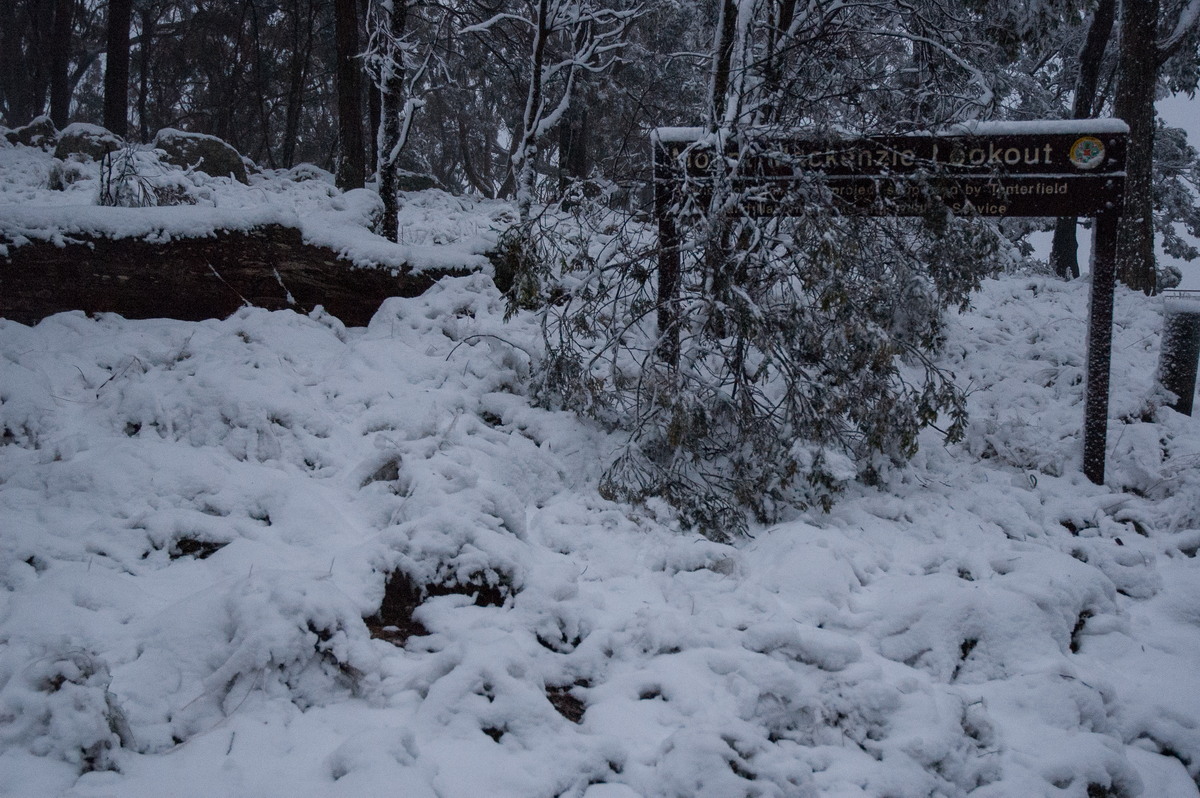 snow snow_pictures : near Tenterfield, NSW   9 June 2007