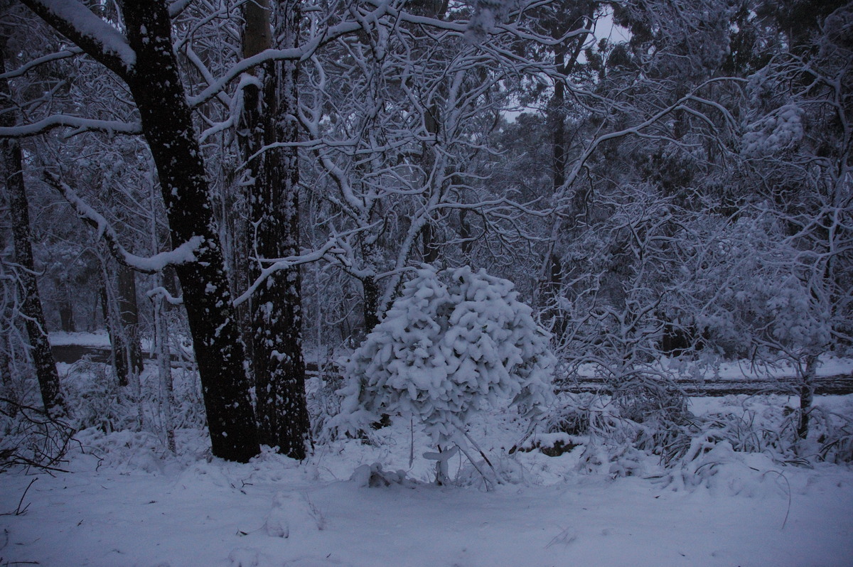 snow snow_pictures : near Tenterfield, NSW   9 June 2007