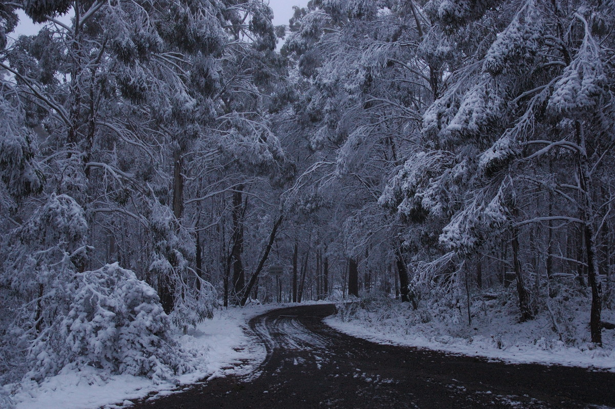 snow snow_pictures : near Tenterfield, NSW   9 June 2007