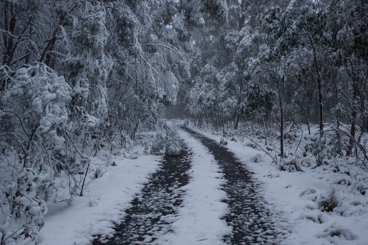 favourites michael_bath : near Tenterfield, NSW   9 June 2007