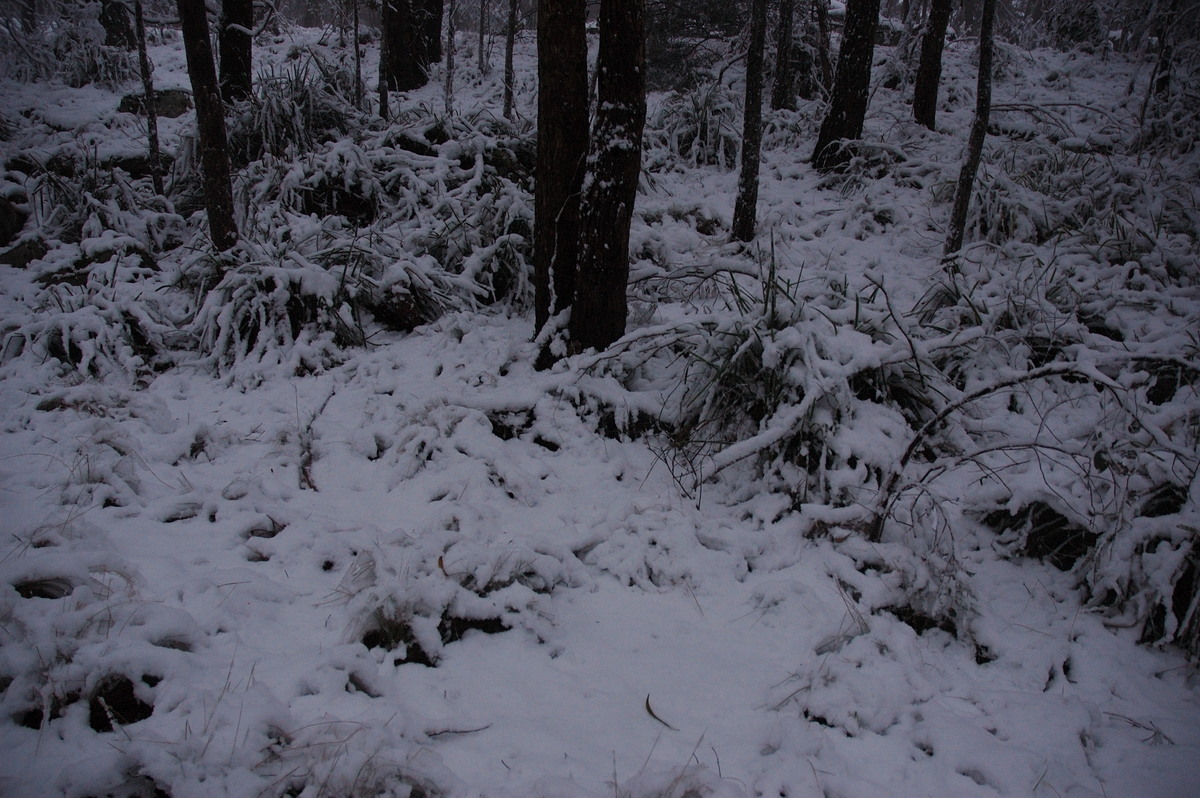 snow snow_pictures : near Tenterfield, NSW   9 June 2007