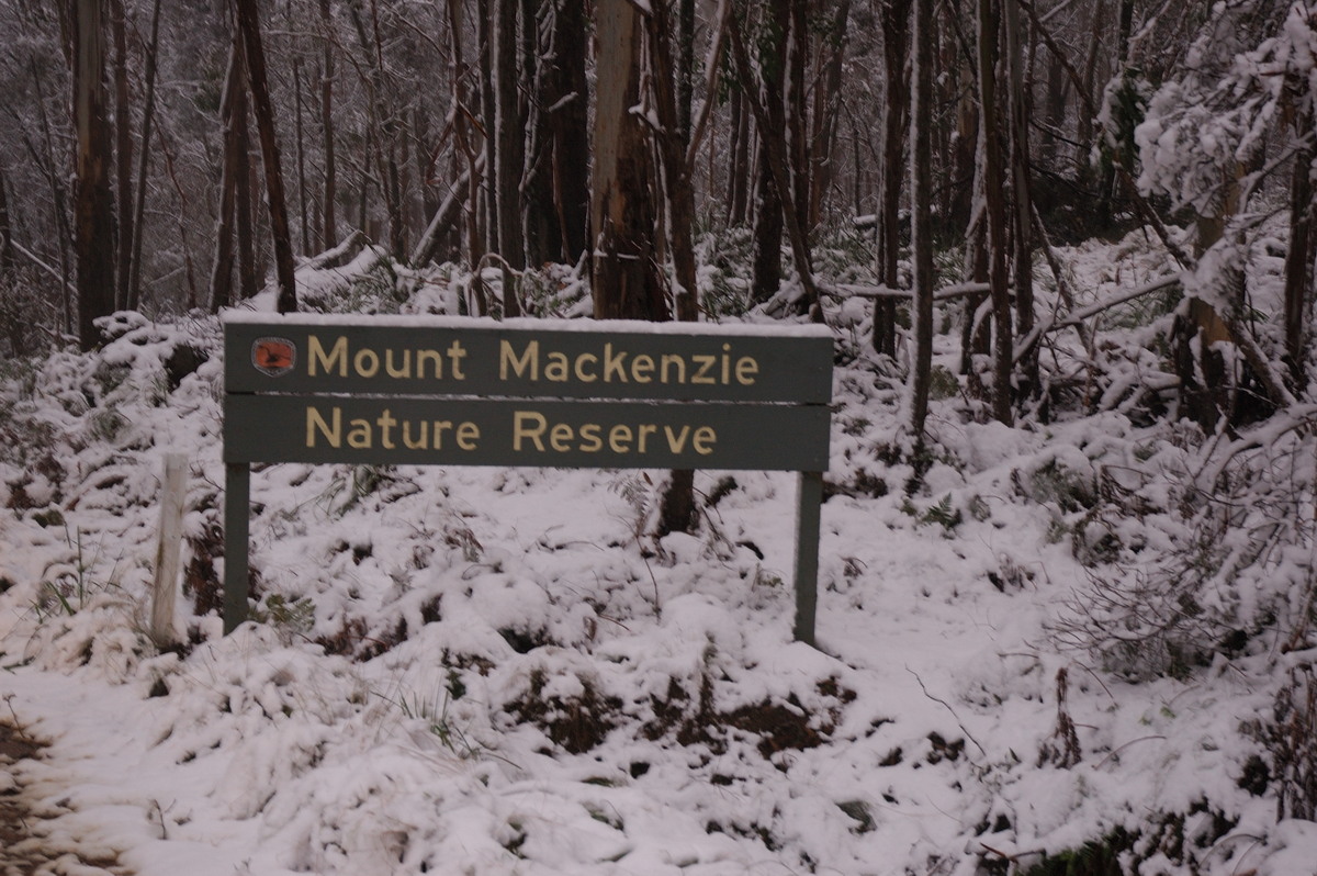 snow snow_pictures : near Tenterfield, NSW   9 June 2007