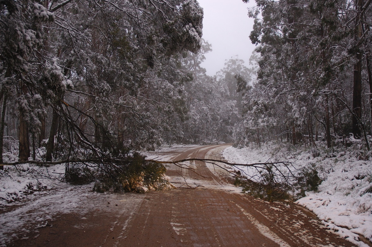 snow snow_pictures : near Tenterfield, NSW   9 June 2007