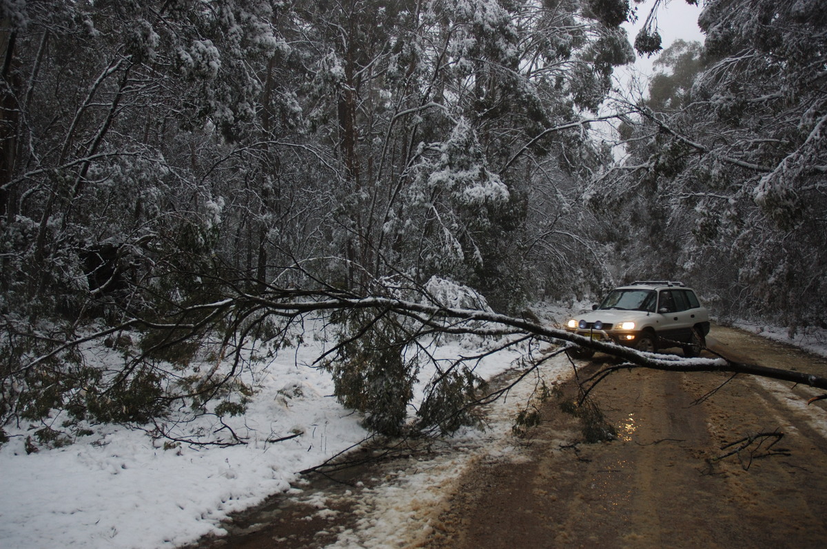 snow snow_pictures : near Tenterfield, NSW   9 June 2007