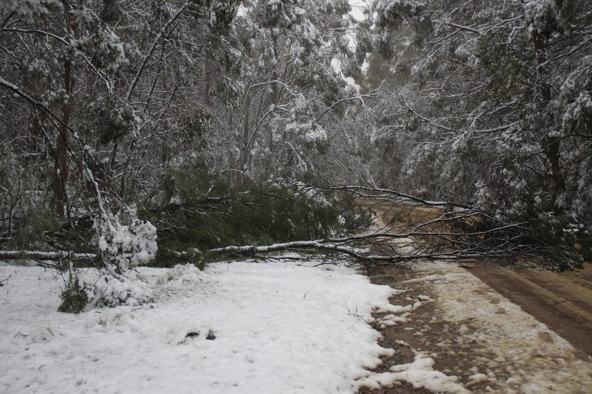 disasters storm_damage : near Tenterfield, NSW   9 June 2007