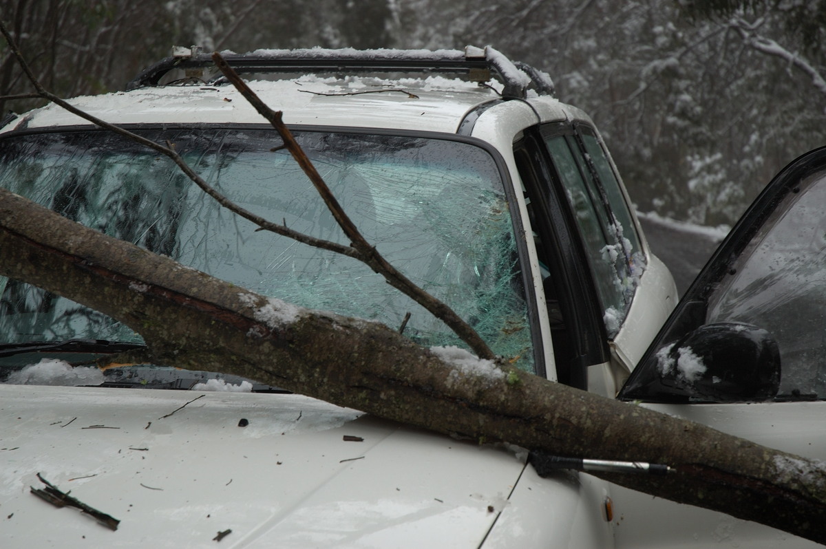 disasters storm_damage : near Tenterfield, NSW   9 June 2007