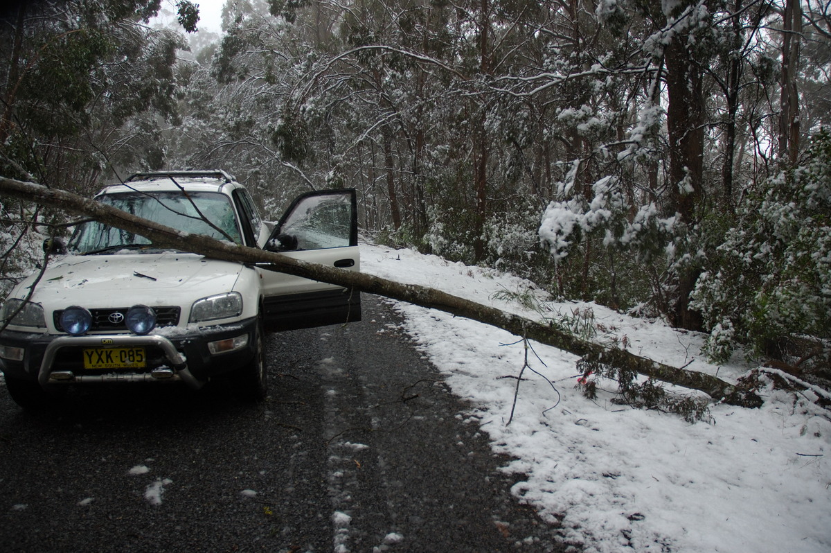 snow snow_pictures : near Tenterfield, NSW   9 June 2007