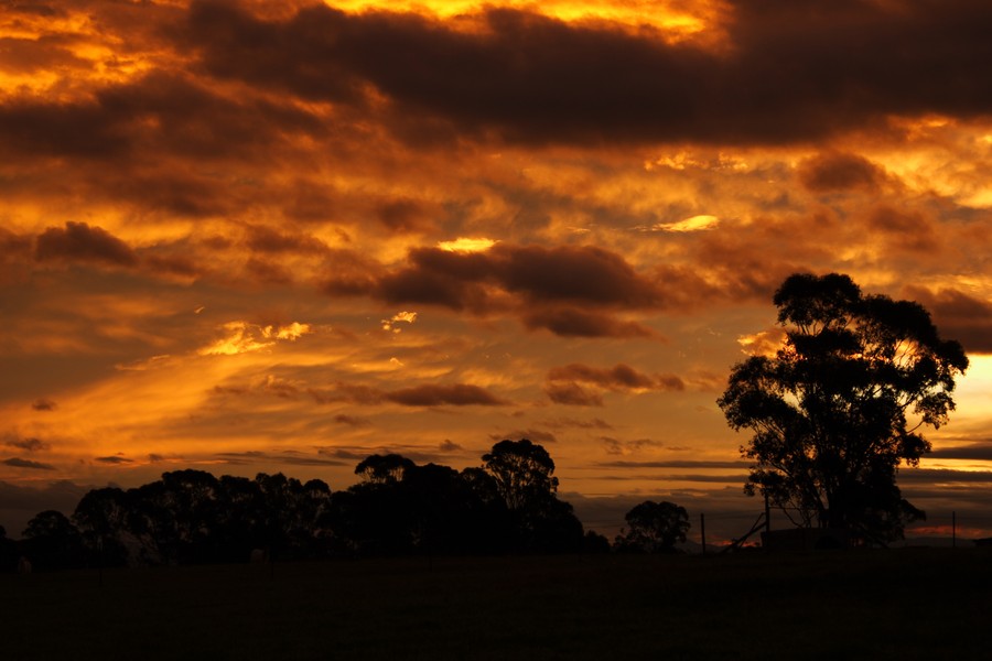 sunset sunset_pictures : Schofields, NSW   15 June 2007