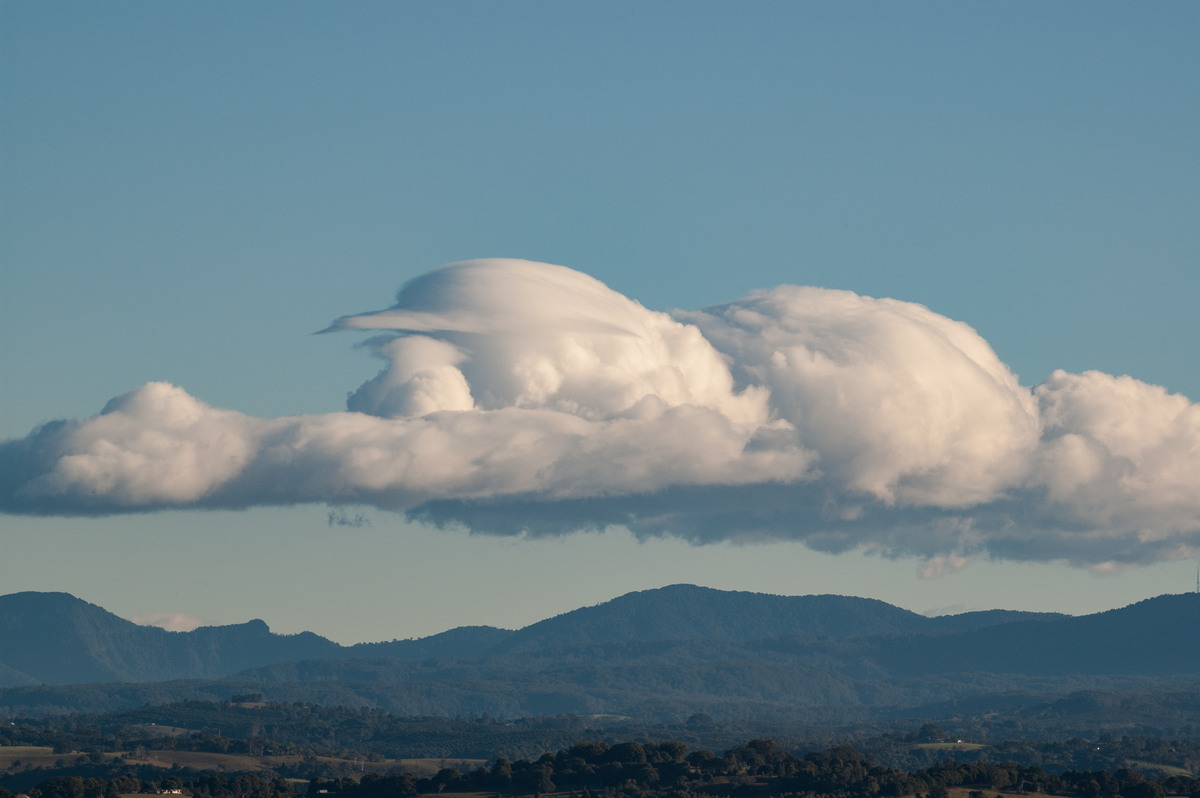 cumulus mediocris : McLeans Ridges, NSW   19 June 2007