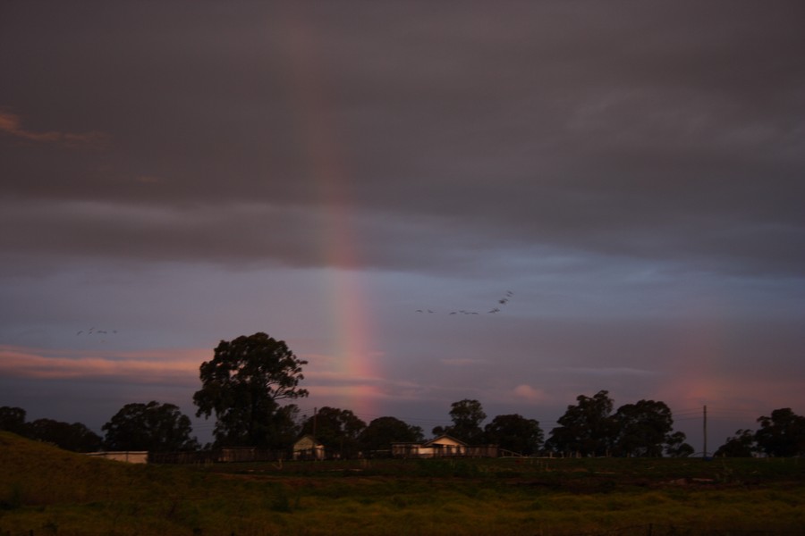 rainbow rainbow_pictures : Schofields, NSW   26 June 2007