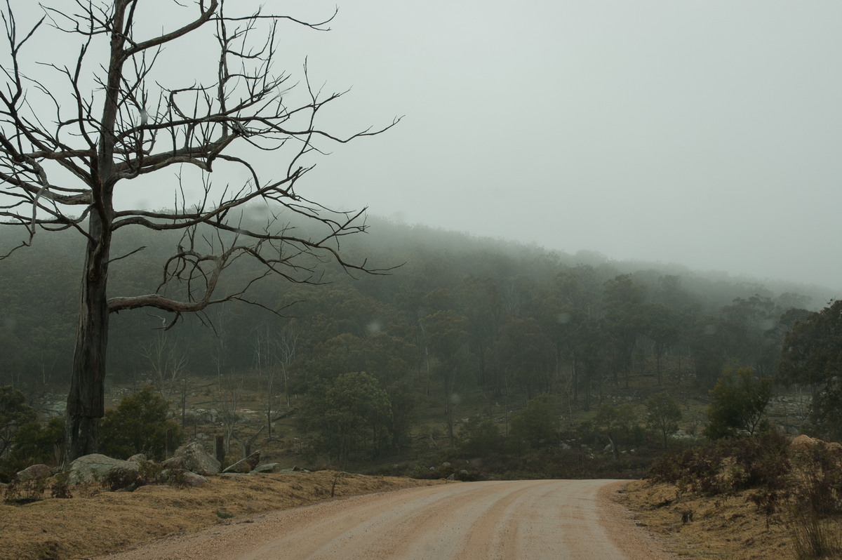 snow snow_pictures : near Tenterfield, NSW   28 June 2007